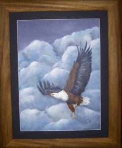 "African Fish eagle flying"