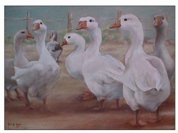 "Geese"