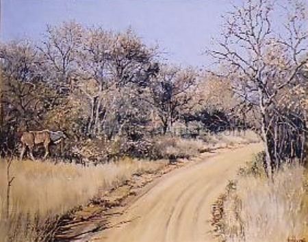 Kudu Bushveld Retreat, NP