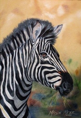 Zebra Portrait 1