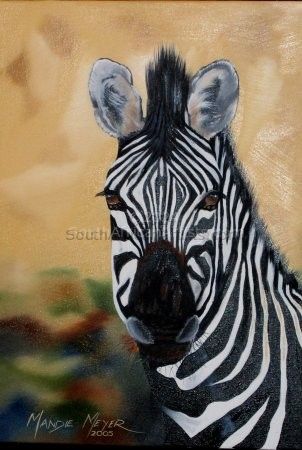 Zebra Portrait 2