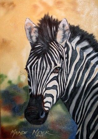 Zebra Portrait 3