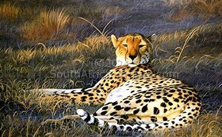 Cheetah Bliss