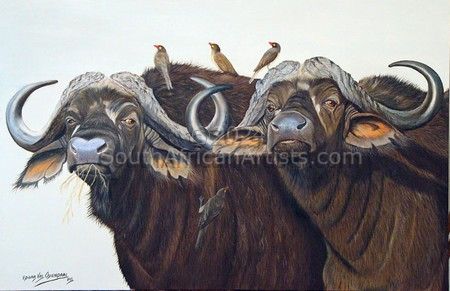 Buffaloe Bulls