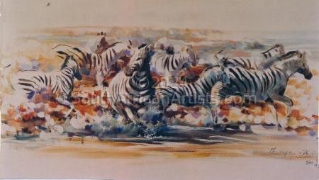 Zebras wat in hul versteur word