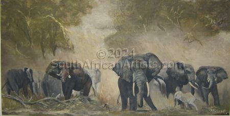 Elephants in the Dust - Kenya