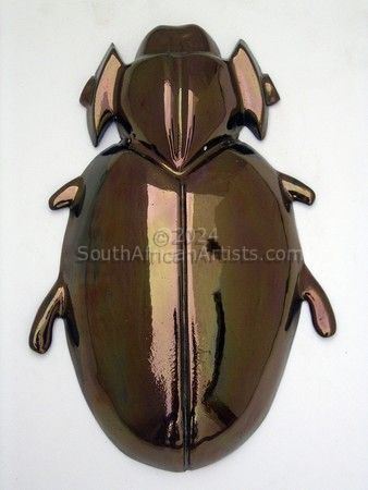 Trox Horridus Beetle