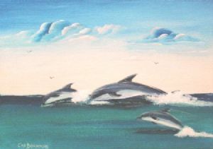 "Dolphins"