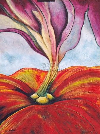 Hibiscus Masculae