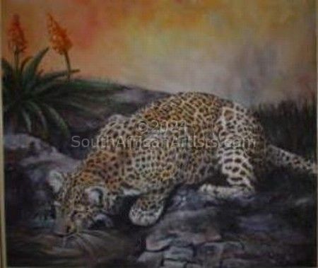 Leopard on the Rocks