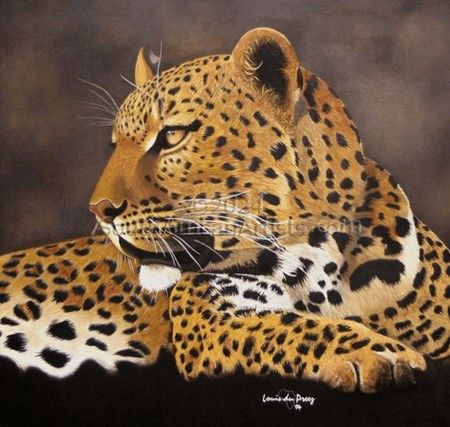 Leopard Up-Close