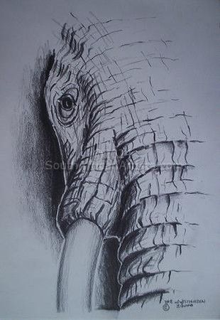 Elephant Face