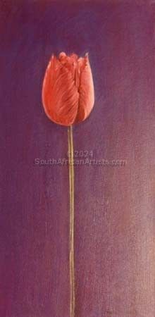 Pink Tulip (canvas 1 of 3)