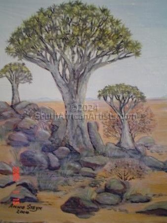 Kokerboomwoud Namibia