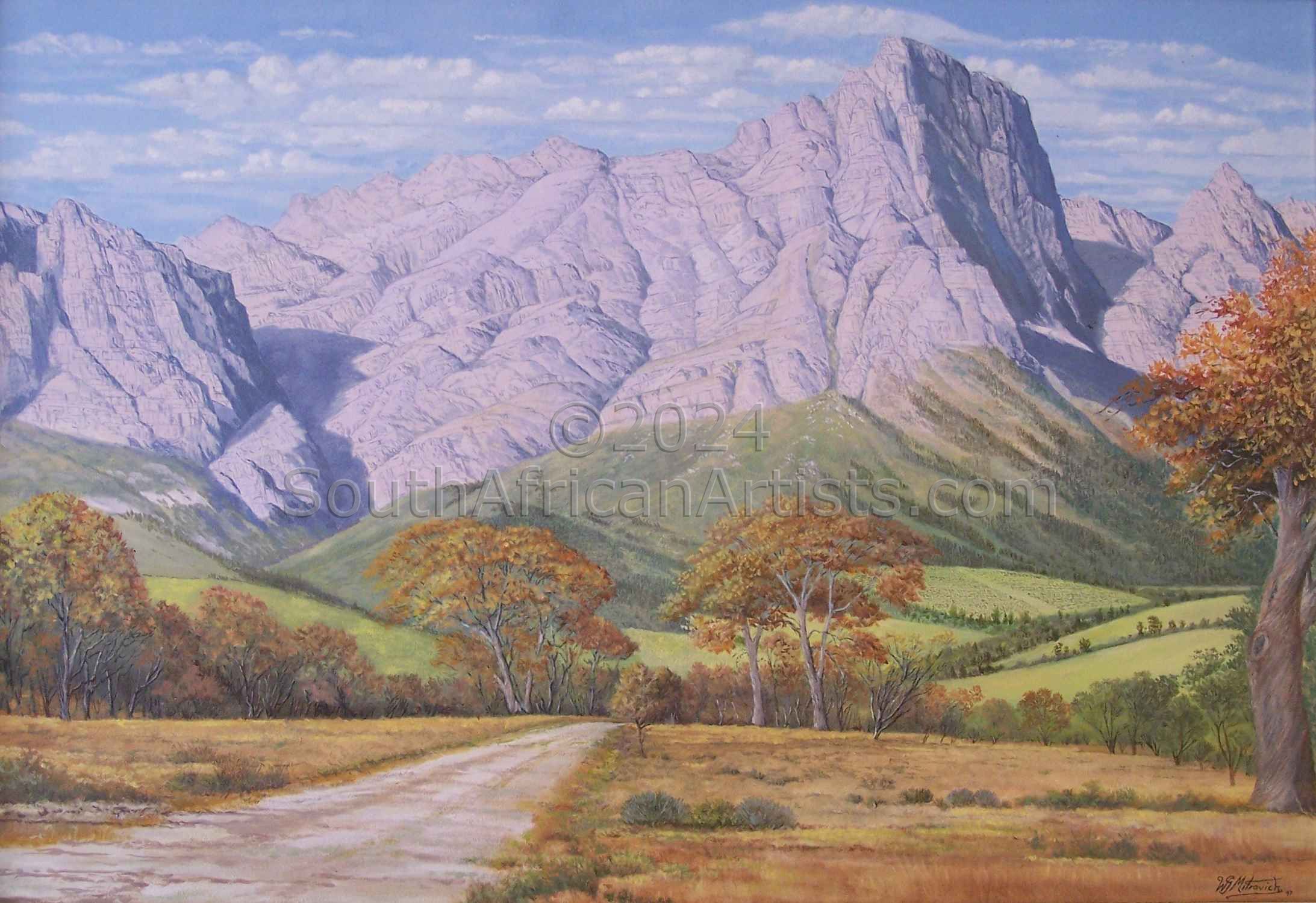 Stellenbosch Mountain Scenery