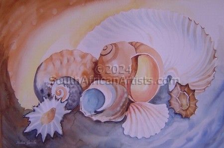 Seashells 1