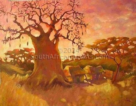 Imbondeiro ( baobab tree)