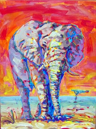Sunset elephant