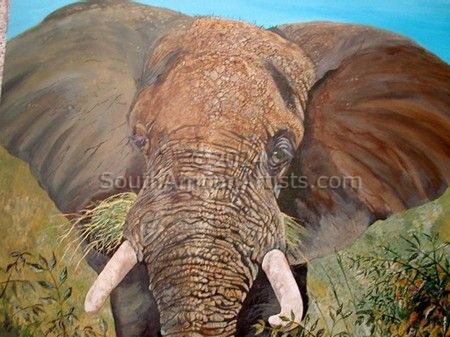 Okavongo Elephant