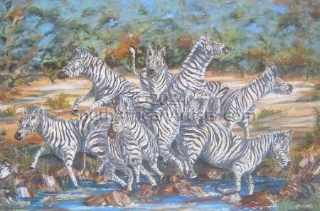 The Scattering of the Zebras