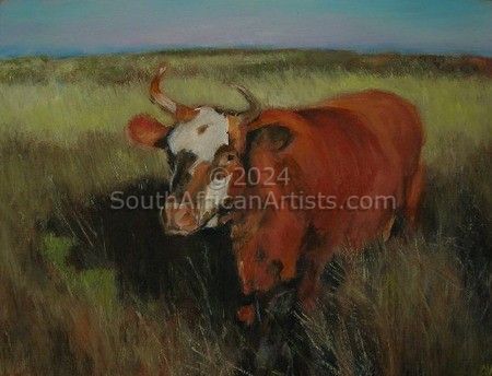 Cow in Sandveld Landscape