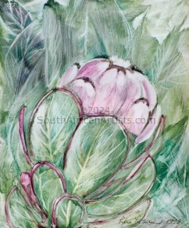 Botanical Series: Protea