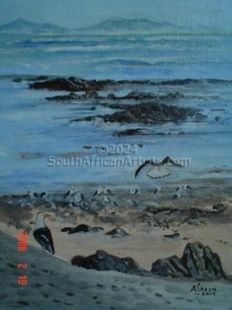 Seabirds - Cape