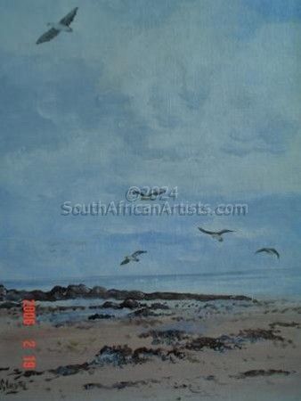 Beach Birds - Strand Cape