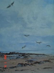 "Beach Birds - Strand Cape"