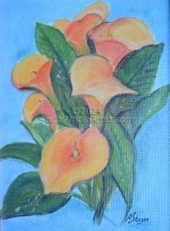 Orange Arum Lilies 1