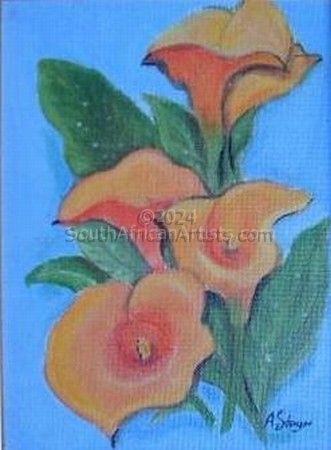 Orange Arum Lilies 2