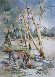 "Warthog and Fever Trees"