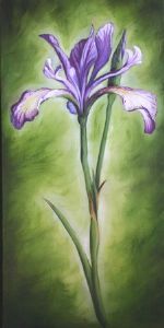 "The Purple Iris"