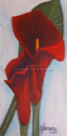 Dream Red Lilly