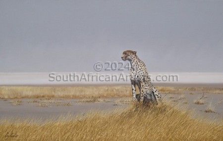 Etosha Cheetah