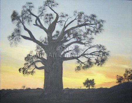 Baobab Tree - Sunset