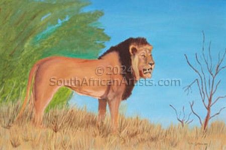 Namib Lion