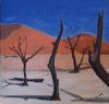 "Namib desolation"