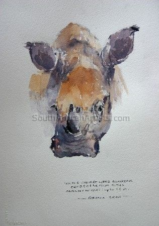 Illustration Young White Rhino