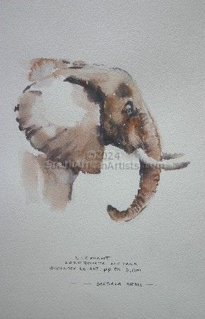 Ill. Elephant