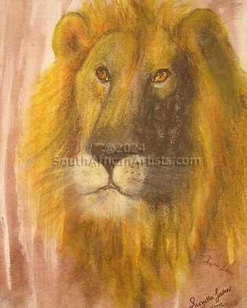 Kgalagadi Lion