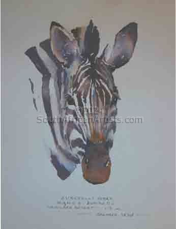 Illustration Burchell's Zebra 2