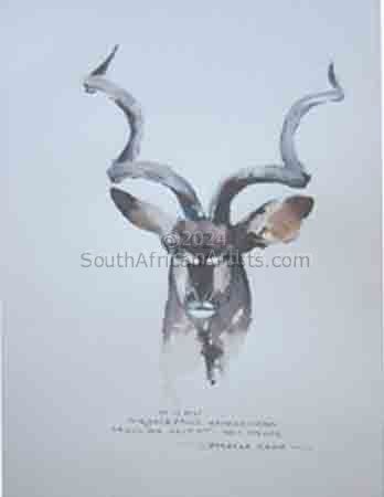 Illustration Male Kudu