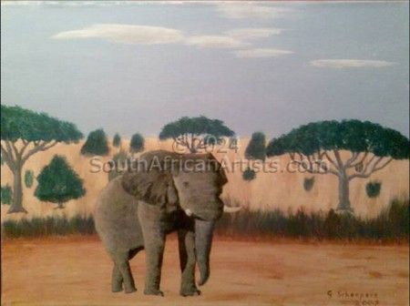 Kalahari Elephant