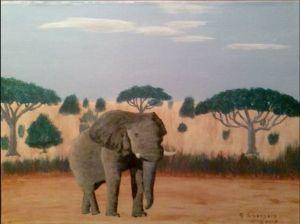"Kalahari Elephant"