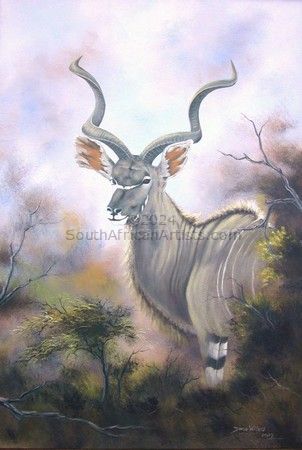 Kudu Bull - Stately Magnificence