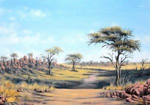 "Near Shoshong - Botswana"