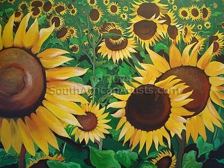 Sunflower Selection