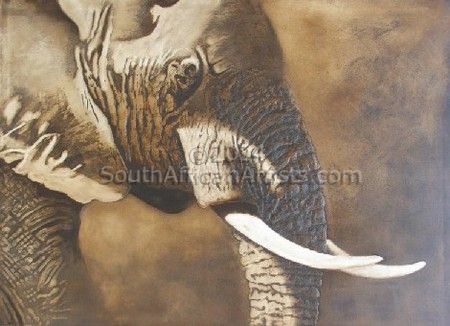 Elephant Portrait - Textured