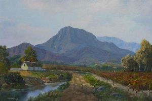 "Cape Vineyards (Stellenbosch)"